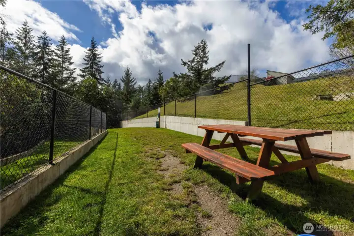 Inside the park. Separate areas for large and small dogs.