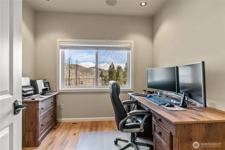 Downstairs office/studio, LVP