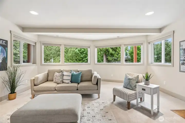 WElcome to your Oasis downstairs.  Seconary Family room on the lower level!  Again check out all the windows!