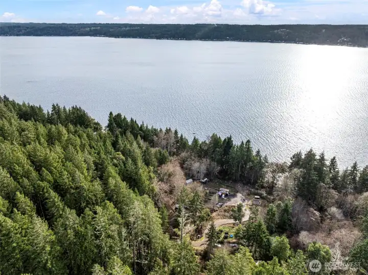 Just across North Shore Rd is Hood Canal Just across North Shore Rd is Hood Canal