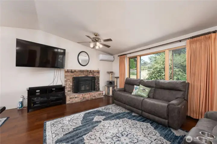 Wood burning fireplace and ductless mini-split