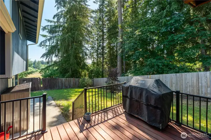 Steps to patio and lawn