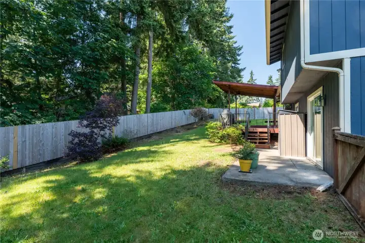 Ample grass space for entertaining and playing