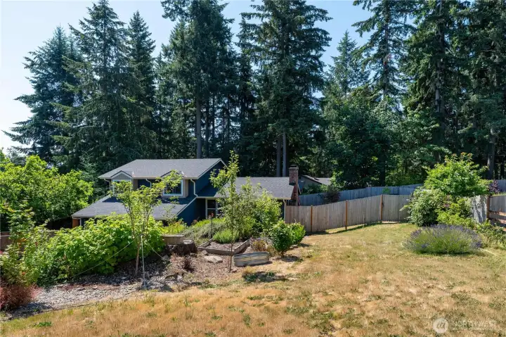 Front yard features garden beds and fruit trees!