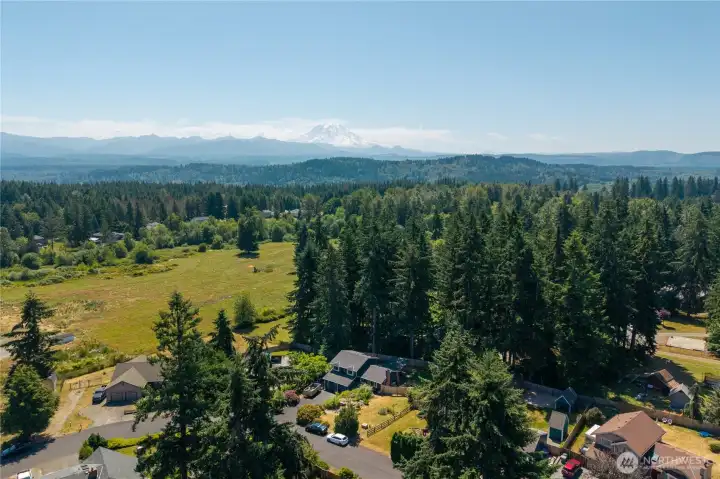 Beautiful Bonney Lake!