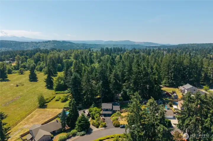 Aerial view of the home and the evergreen trees