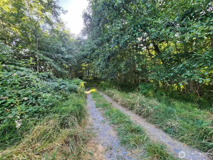 Road in to property looking back