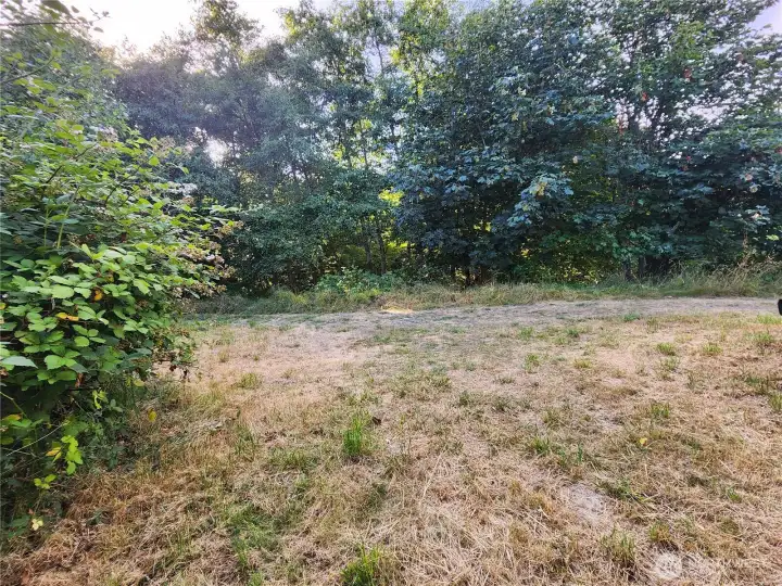 Clear area for picnic table