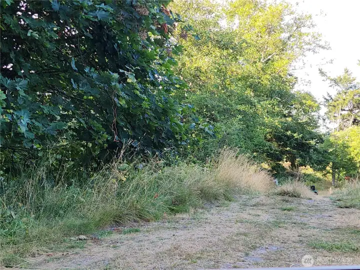 easment road through property
