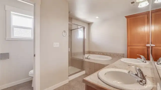 Primary en-suite features a walk-in closet, dual sinks, jetted tub & water closet.