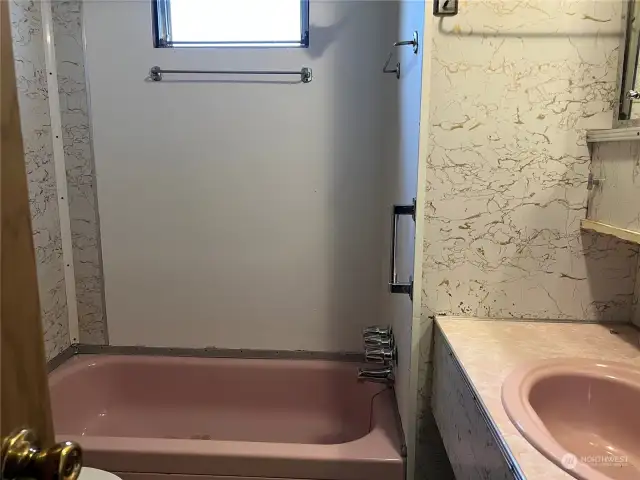 Bathroom:  New shower/bath faucet and toilet