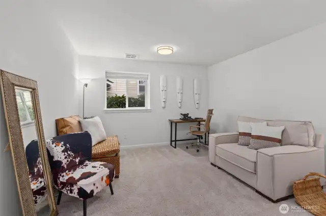 Lower level bedroom with attached full bathroom or make it a great bonus/play room.