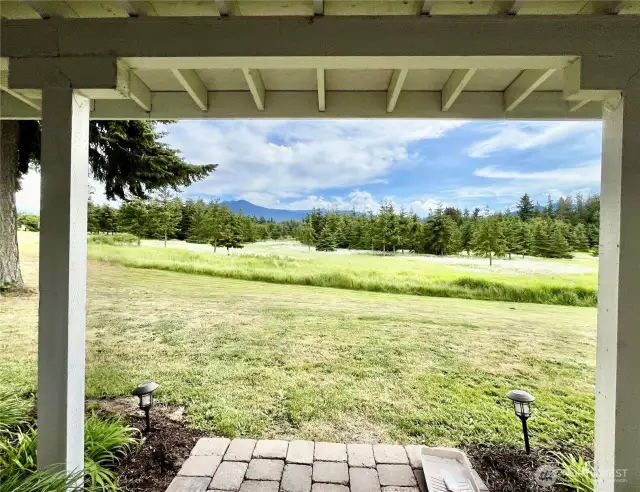Back Patio View