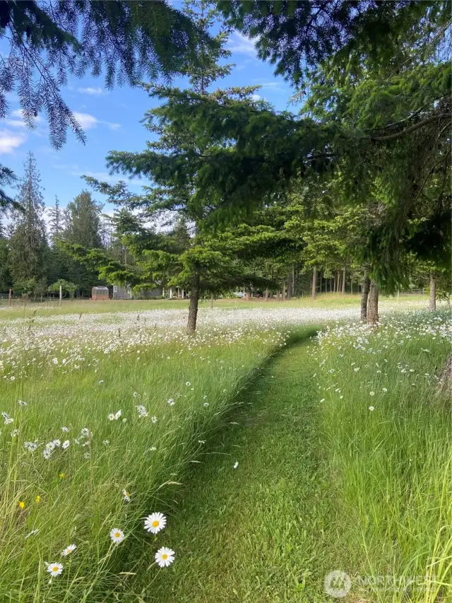 Trail 1