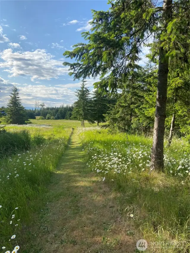 Trail 2
