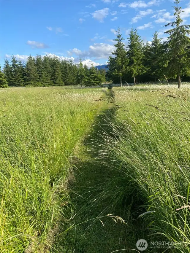Trail 3