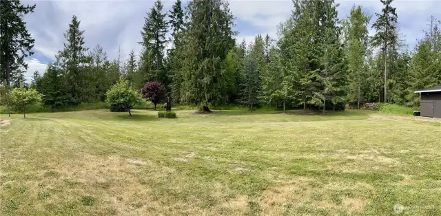 Pasture and fruit trees