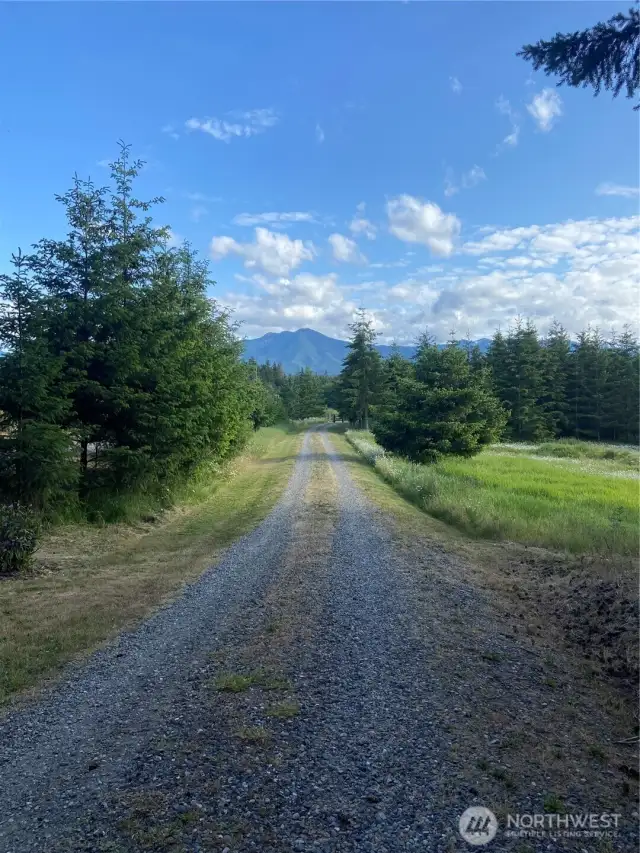 Driveway
