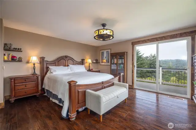 spacious primary bedroom. Did I mention the view.