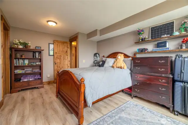 4th lower bedroom, large closets.