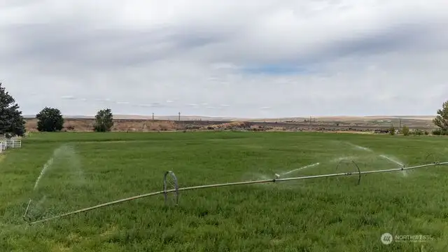 12 acres with water rights
