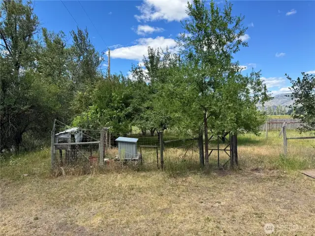 side yard