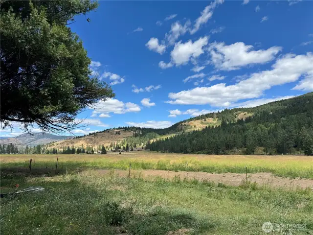 front pasture