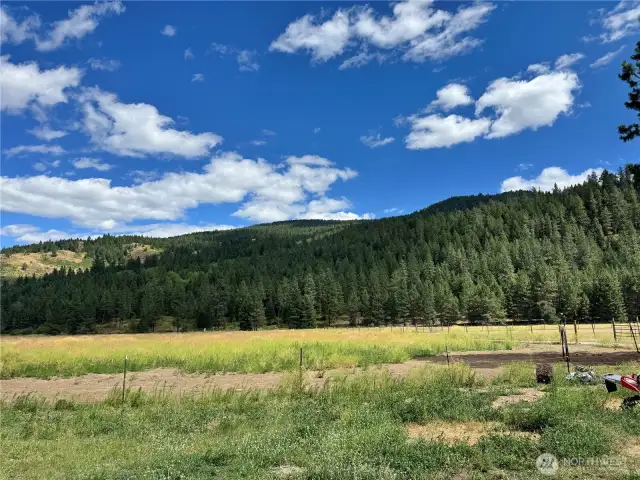 front pasture