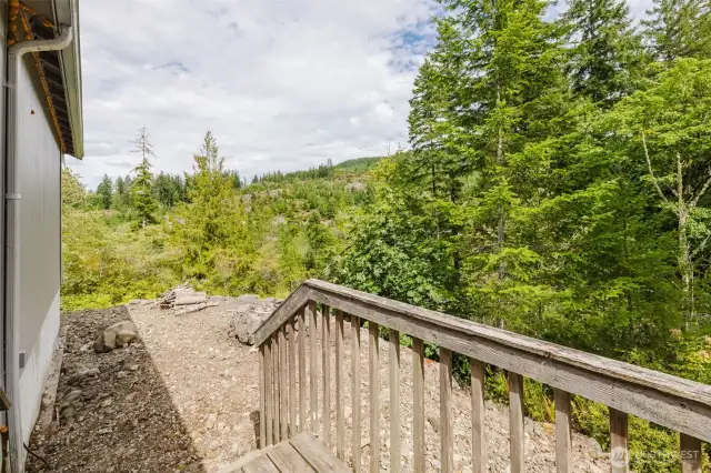 Private lot surrounded by evergreens for a serene setting.