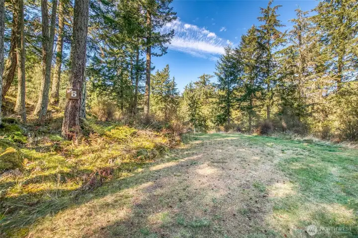 Driveway leading to the building circle.