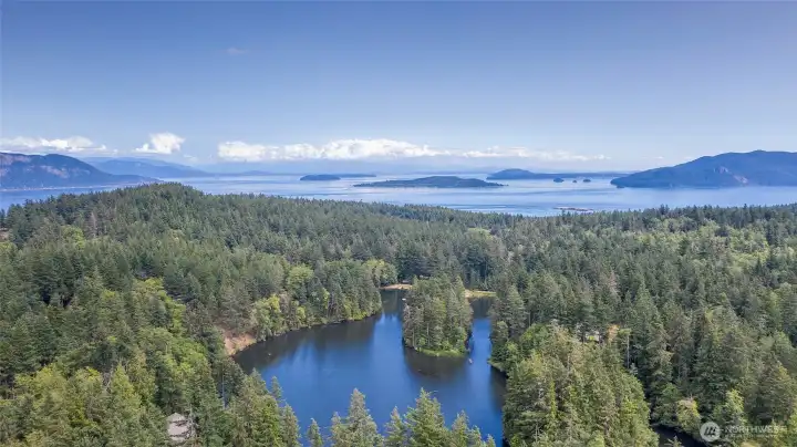 Swim or paddle out to the Boys and Girls Islands' or relax and observe wildlife (eagles, herons, owls, hawks, as well as many other animals!)