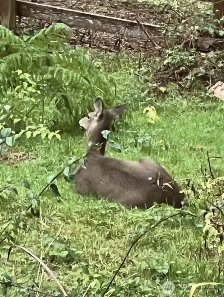 One of our frequent visitors