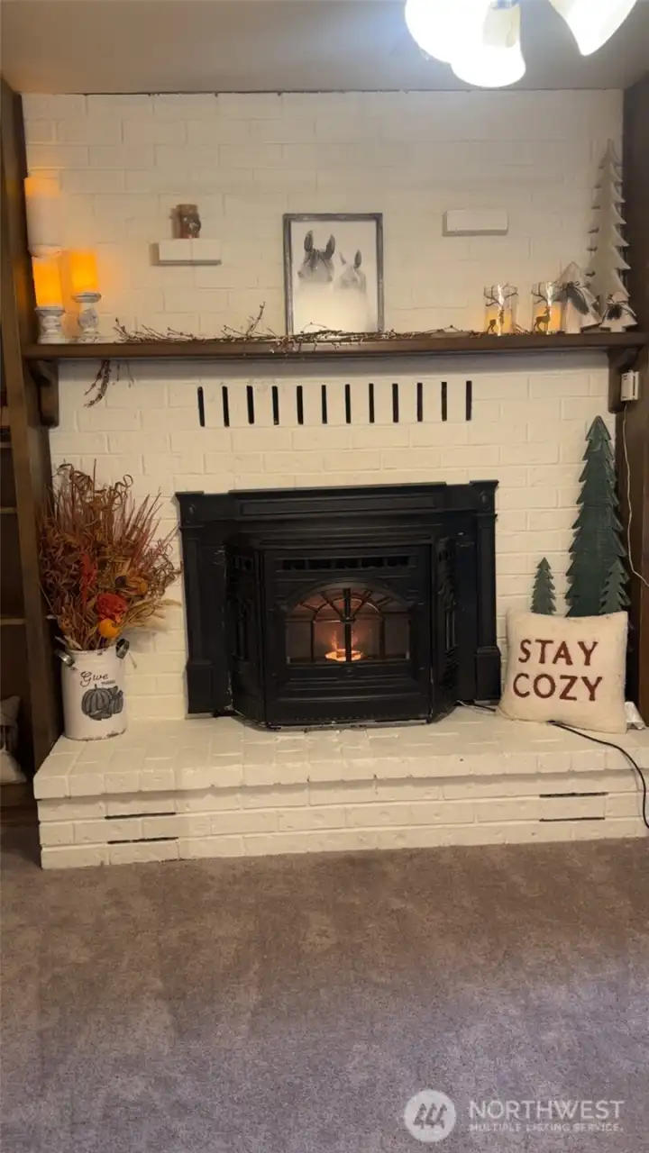 Cozy fireplace with pellet stove