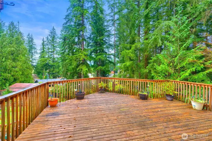 Deck in back yard