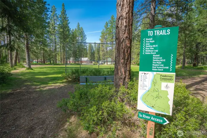 Explore miles of community trails by foot or bike, surrounded by spring wildflowers—and maybe even stumble upon a hidden beach along the way.