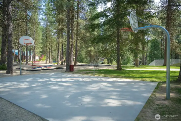 From soccer and baseball fields to basketball, pickleball, and volleyball courts, the Ponderosa Community playground has something to keep everyone active and entertained.