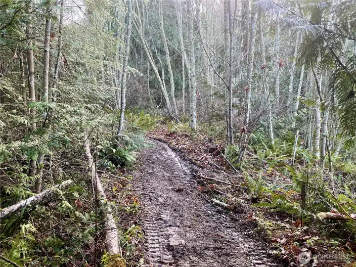 Large lower part of lot has a trail going through it. Perfect for garage!