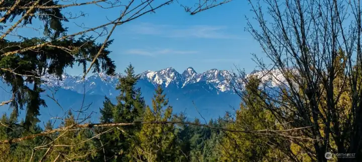 This picture taken from the back deck!