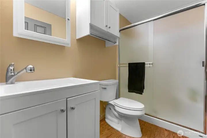 3rd Bathroom - lower level