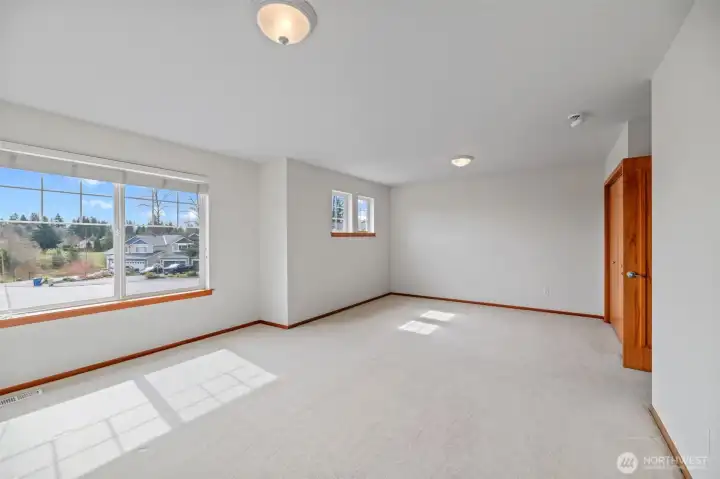 Bonus room or extra bedroom
