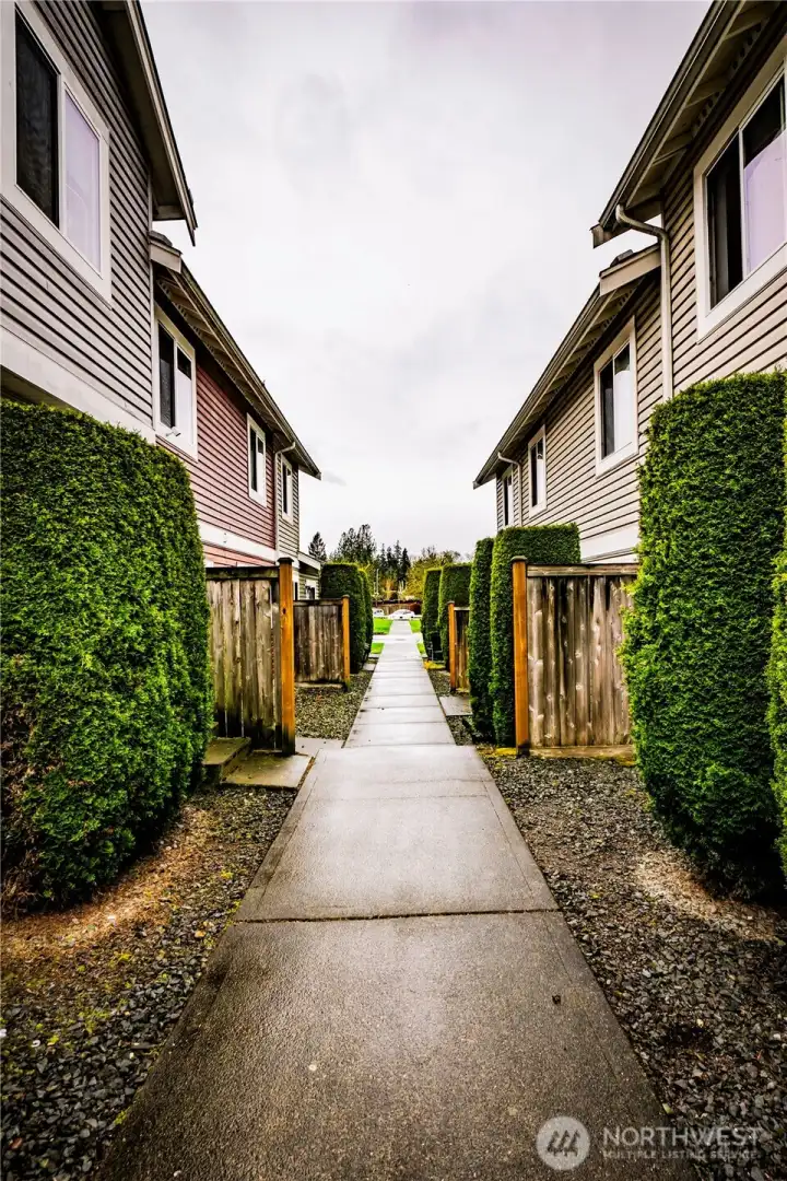 Privacy at back patio