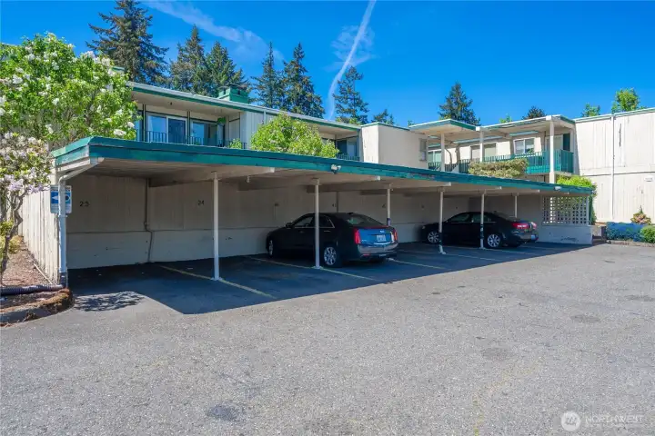 Carport parking! Unit 44 has the 2nd space from the right.