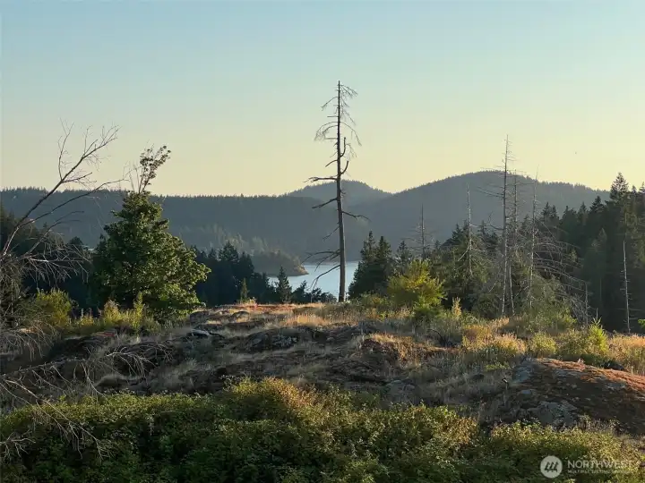 Looking southwest towards Lake Campbell...