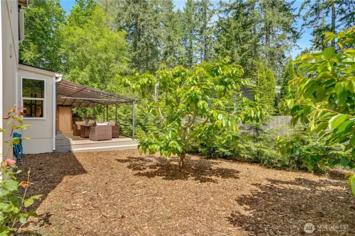 A cedar hedge grows along the fence for increased privacy, while cherry trees and roses bring beauty to the yard. A cedar hedge grows along the fence for increased privacy, while cherry trees and roses bring beauty to the yard.