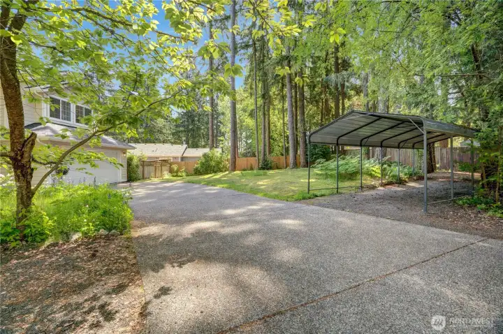 A paved driveway leads to additional covered parking and a wooded lawn. Wildflowers and a weeping cherry border the drive. A paved driveway leads to additional covered parking and a wooded lawn. Wildflowers and a weeping cherry border the drive.