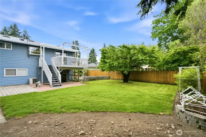 Beautiful Backyard Beautiful Backyard