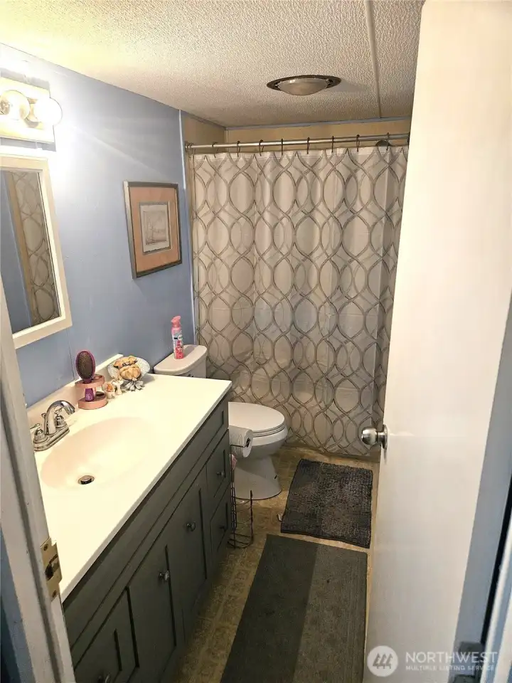 Hall bathroom. Hall bathroom.