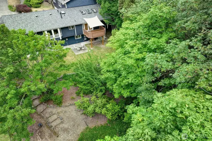 View of back yard.