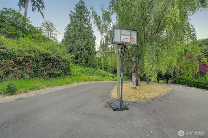 Basketball hoop in the cul de sac.