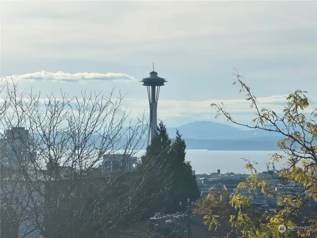 Stunning view of the iconic Space Needle framed by lush greenery and serene surroundings.